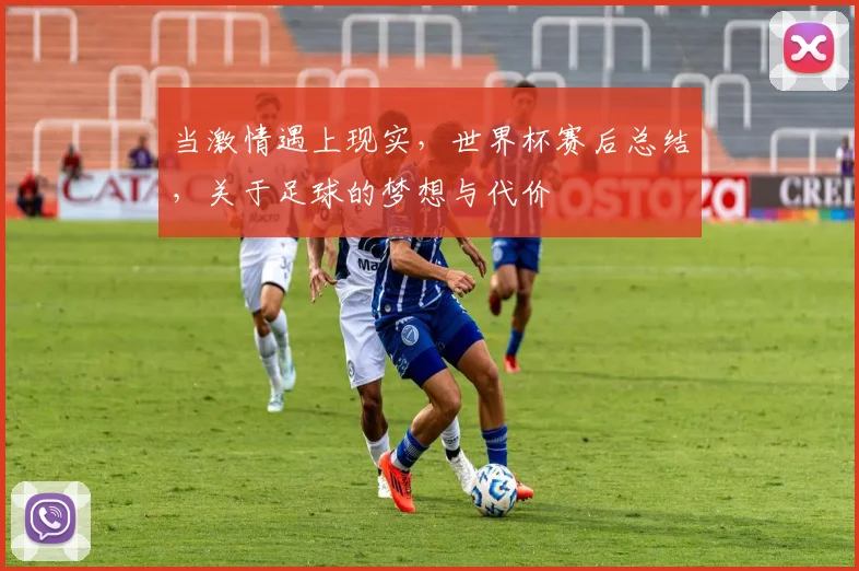 当激情遇上现实,世界杯赛后总结,关于足球的梦想与代价